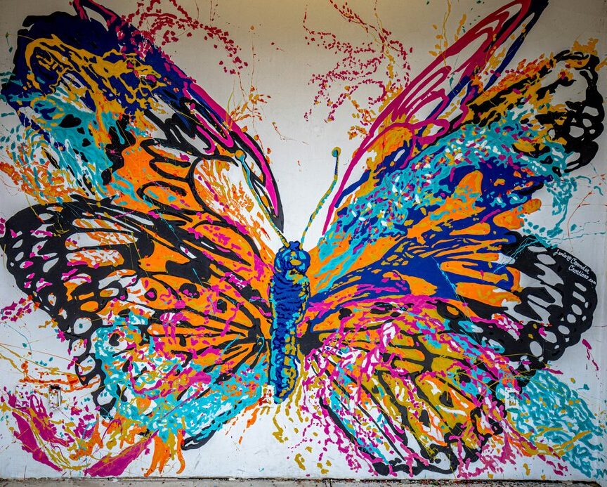 A butterfly on a wall, symbolizing the leadership that emerges from a cocoon.