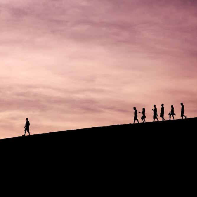 visionary leadership