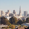 San Fran San Francisco Large